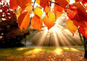 ���� �� ��������������� ���������� � �������. ������� ������ �� ��������� �����