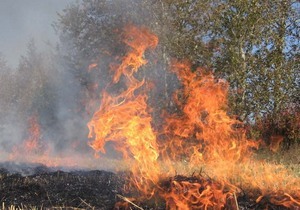 �� ��������� ������ ���������� ���������������� ���������� 243 ����