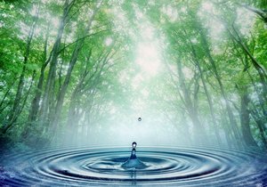 ����� 30 ���������� ������ ���������������� ����������� � ��������