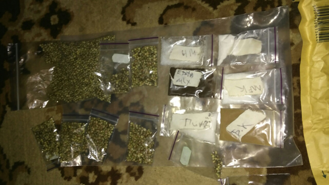 У Дніпрі викрили гідропонічну лабораторію конопель