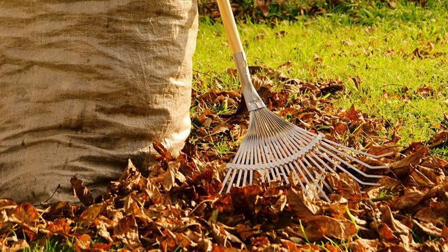 � ��������� �������� �������� �� ������ ������� �������