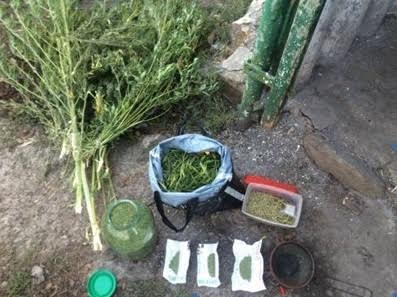 Наркотический рейд по области: отличились Синельниково и Днепр