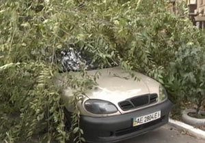 � ������ ������� ���������