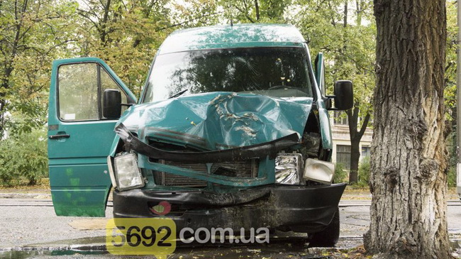 В Каменском микроавтобус Volkswagen врезался в дерево