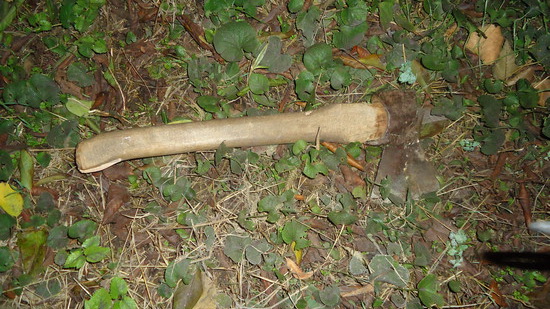 � ��������� �� ���������� ������������ ������������ ��������� ���� ��������� �����, ����������� �������