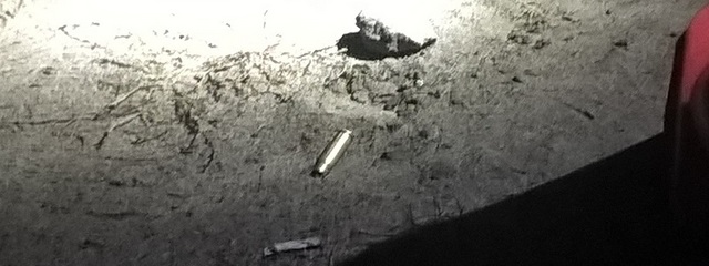 ����� �� ����� �������� ��������: ����������� ������������