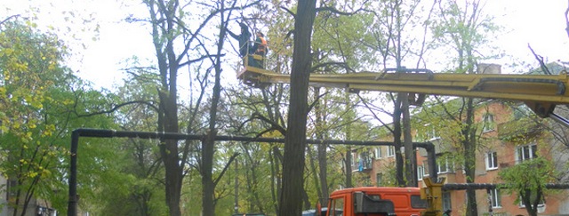 � ������ �������� ������� �� ������� �������