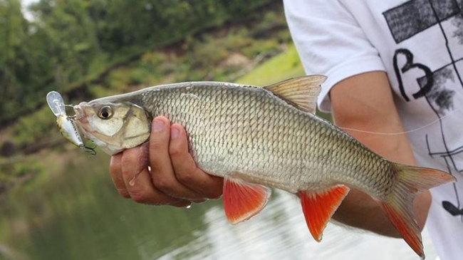 ������ �����: � ����� ���������� ������ ���