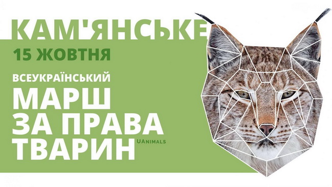 � ��������� ��������� ������ �� ���� �� ����� ��������