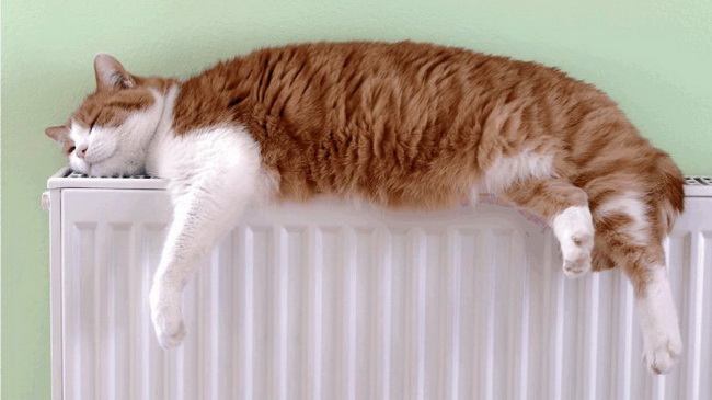 ���������� ����� ��������� ������������� ���������� ���������