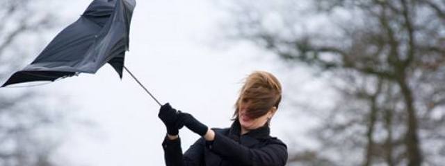 25 ������� � ������ � ������� ��������� ��������� ��������������