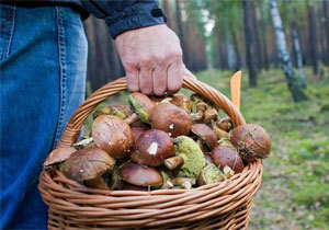 �������� ������������� �� ��������� ���������� �������