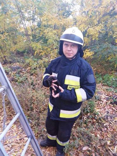 � ����� ������������ ����� ������ � ������