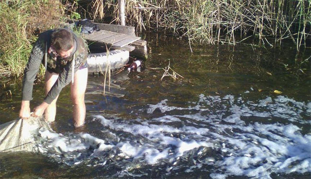 � ��������� ������������� ��������� ������ 4 ���� �������