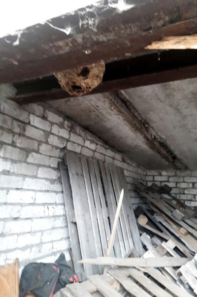 � ������ ��������� ���������� ������ �������