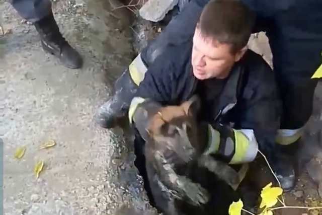 ����������� ������������� ������ ������