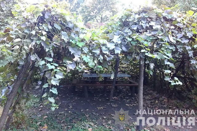 � ��������� �� ����� ����������� �������� ��� ������ ������������