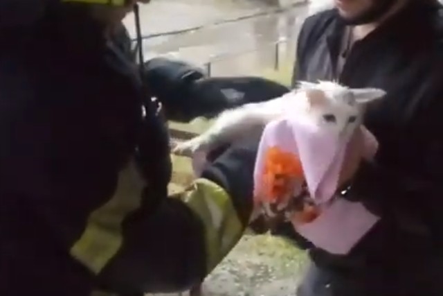 � ������ ���������� ������ �������� �101� ����� ���� � ������