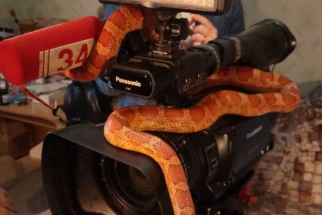 ����, ����� � �������: ����� ��������� �������� � ����� ����� ������ ��������?