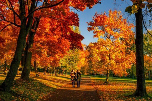 Бабье лето начинает вытеснять холода: какой будет погода в Украине