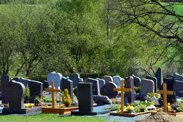 Строительство нового кладбища для Каменского планируют возобновить