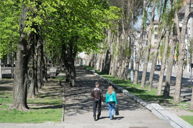 В Каменском продолжат реконструировать центральный сквер