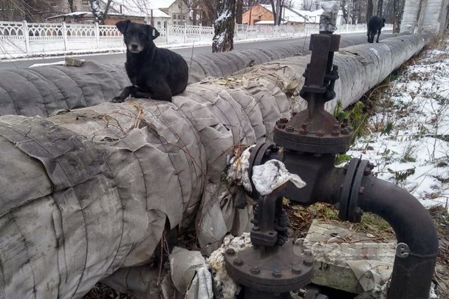 � ��������� ��������� ������� ������� � ������������������ ������ �����