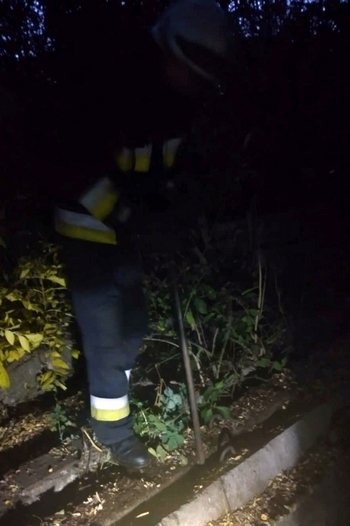 � ������ ��������� ��������� �� ������� ��������� ������