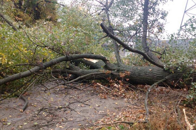 � ������ ��������� ������ ������, ������� �� �������� �����