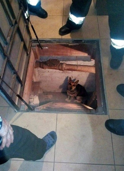 � ������ ���������� ���� ���������� �������� ��������