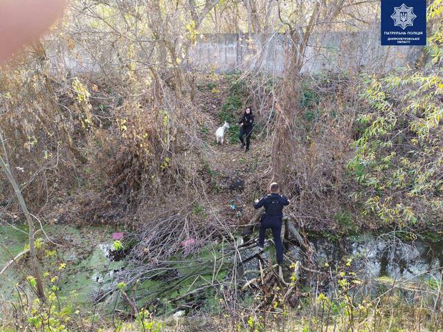 � ����� ��������� ��������� ��������� �������� ���� ����