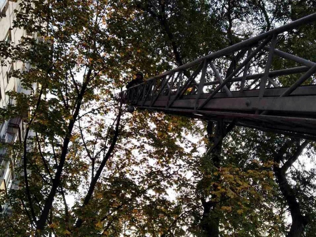 � ������ ����������� ������ �������� ����� ���� � ������