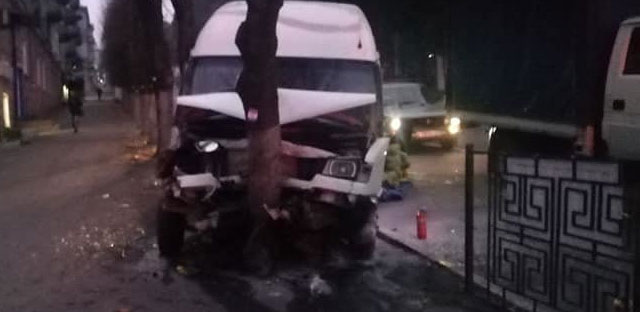 В Каменском, микроавтобус у которого отказали тормоза, врезался в дерево