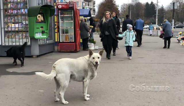 ���������� �������� ��������� ����������