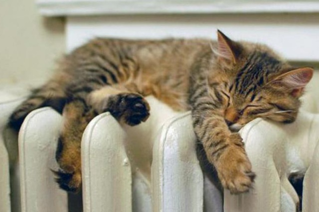 � ��������� �������� ������ ��������������