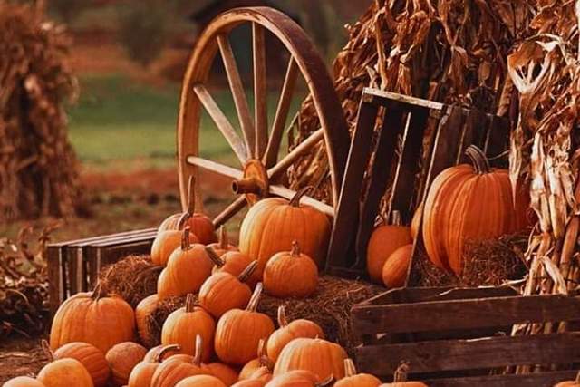 В историческом музее Днепра покажут «Украинский Хэллоуин»