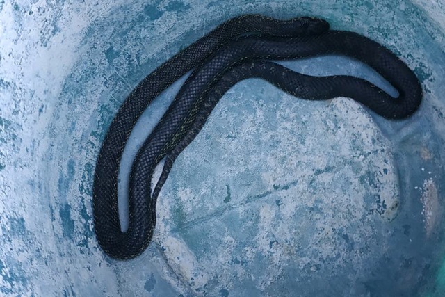 ����������� ���� �������� ���� � ������ ����