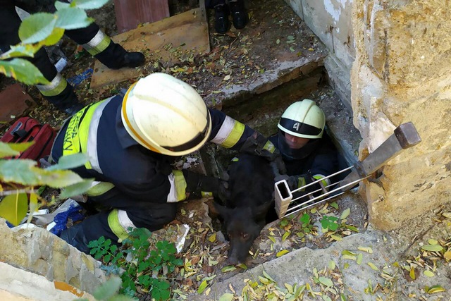 � ������ ��������� ������� ������ �� ����������� ��������� ���