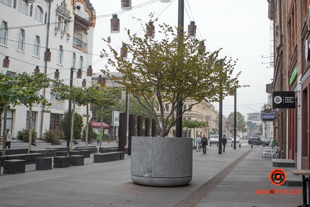 В Днепре на Короленко высадили грабы