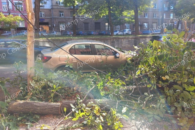 � ����� ������ ������ ����� �� ������������ ������: �� ������ ���������