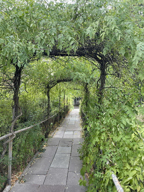 У Дніпрі відкрили ще один «Тонель кохання»