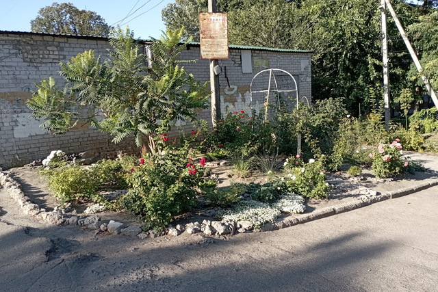 Дніпрянка створила дивовижний розарій на камінні