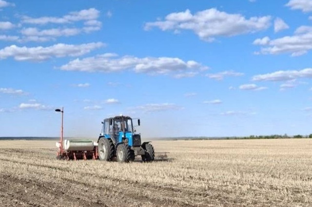 Из-за жесткой засухи аграрии Днепропетровщины не смогли посеять озимые зерновые