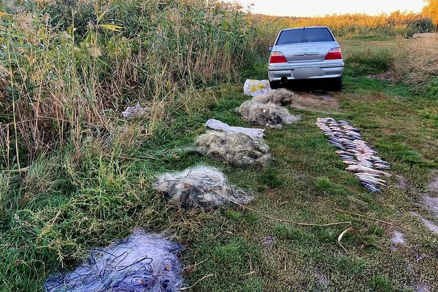 Дніпропетровський рибоохоронний патруль/Facebook Наловили риби на майже 155 тисяч гривень: у Кривому Розі затримали порушників правил рибальства