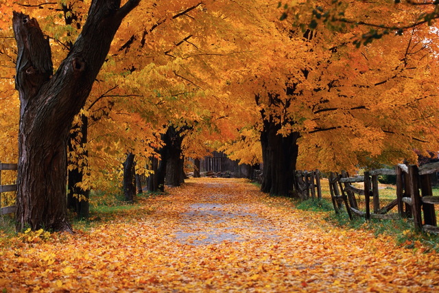 На Днепропетровщине началась метеорологическая осень