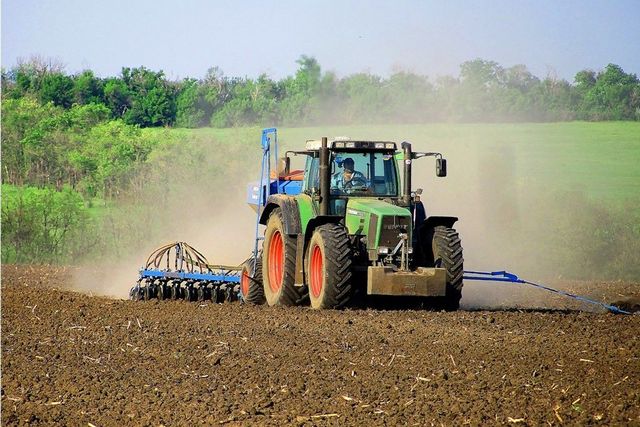 На Днепропетровщине из-за засухи в третьей декаде сентября задержался сев озимых