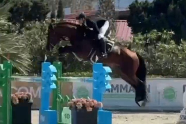 Двое днепровских спортсменов представляют Украину на чемпионате мира по конному спорту в Испании