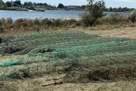 Выловили почти 3 тысячи раков: На Днепропетровщине браконьеры нанесли более 9 млн грн убытков