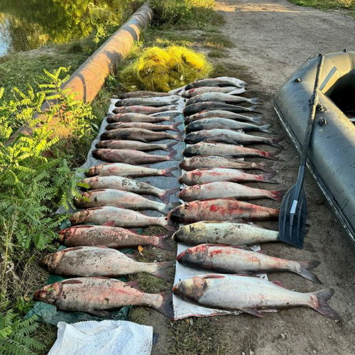 В Диевских плавнях браконьер нанес ущерб природе на более 119 тысяч гривен