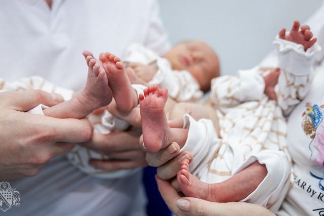 Семьи из Днепропетровщины, у которых родилась тройня, могут получить 100 тыс грн от области